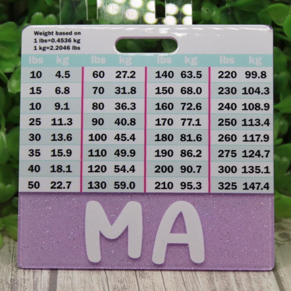 Purple Glitter MA Badge Buddy